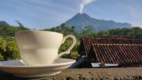 Tempat Ngopi Dengan View Cantik di Jogja